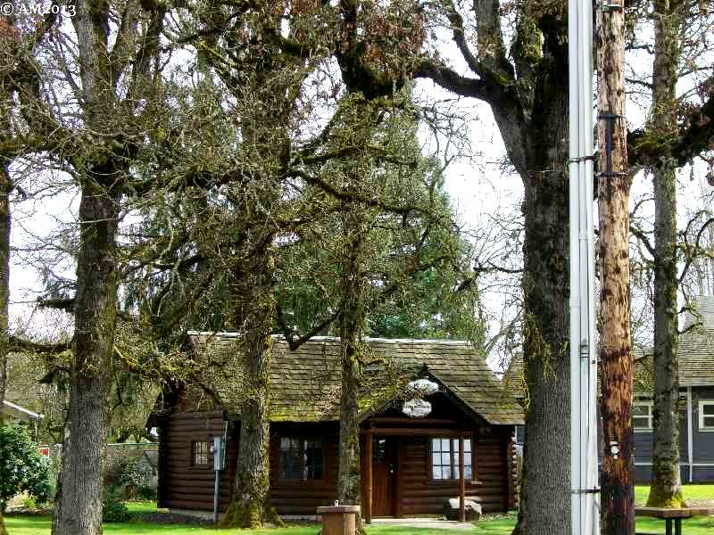 The Banks log cabin is surrounded by oak trees.